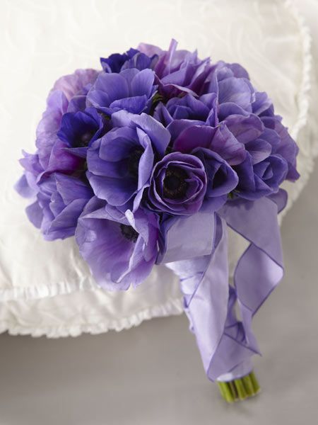 Purple size,  inches height and  inches wide.